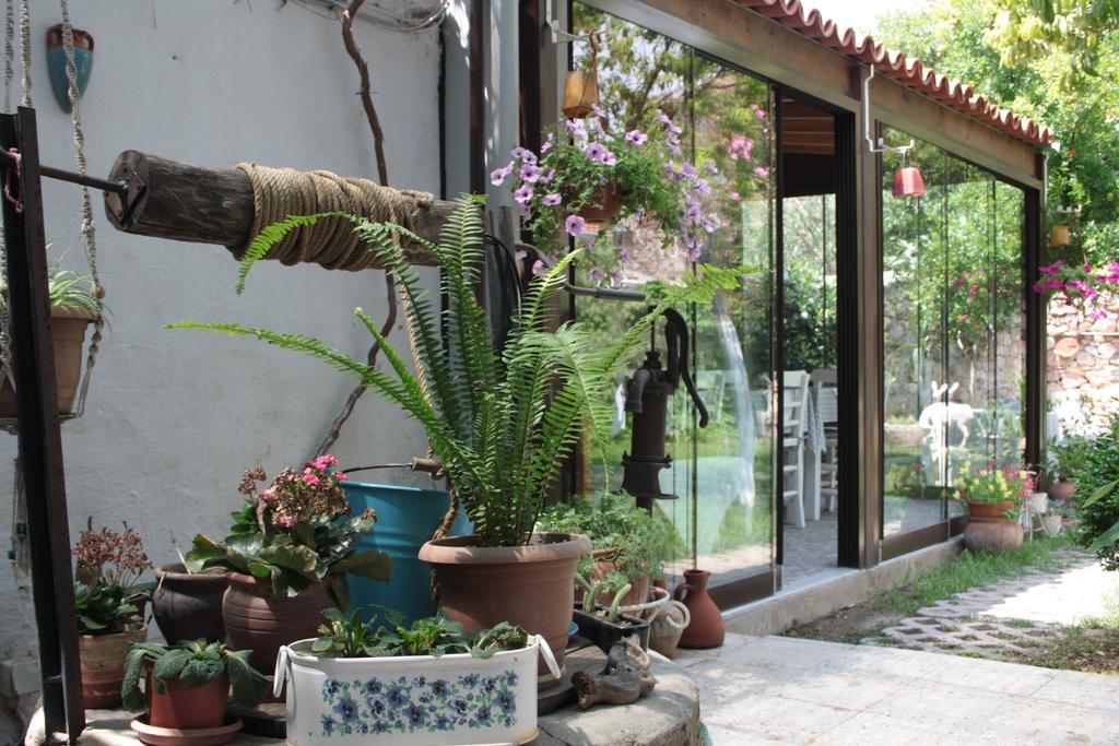 Istanbul Pension Ayvalı المظهر الخارجي الصورة